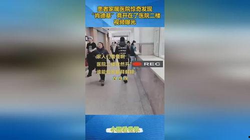 医院爆料视频大全最新,揭露医疗行业真相与困境 第3张 医院爆料视频大全最新,揭露医疗行业真相与困境 第3张